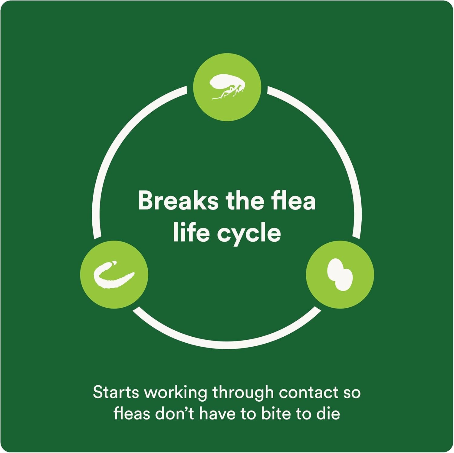 61fbD-2u7jL._AC_SL1500_.jpg 61fbD-2u7jL._AC_SL1500_.jpg