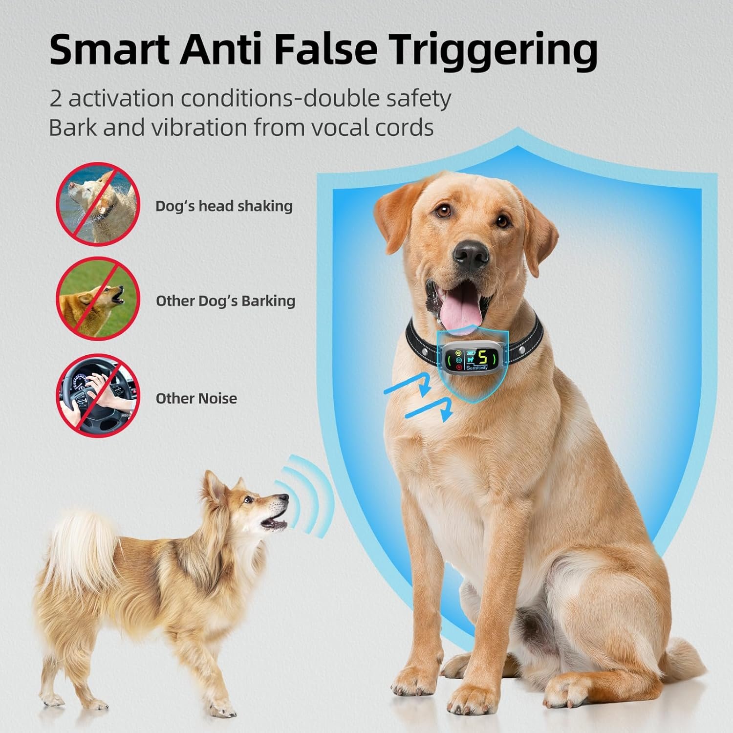 711o4PvA2cL._AC_SL1500_.jpg 711o4PvA2cL._AC_SL1500_.jpg