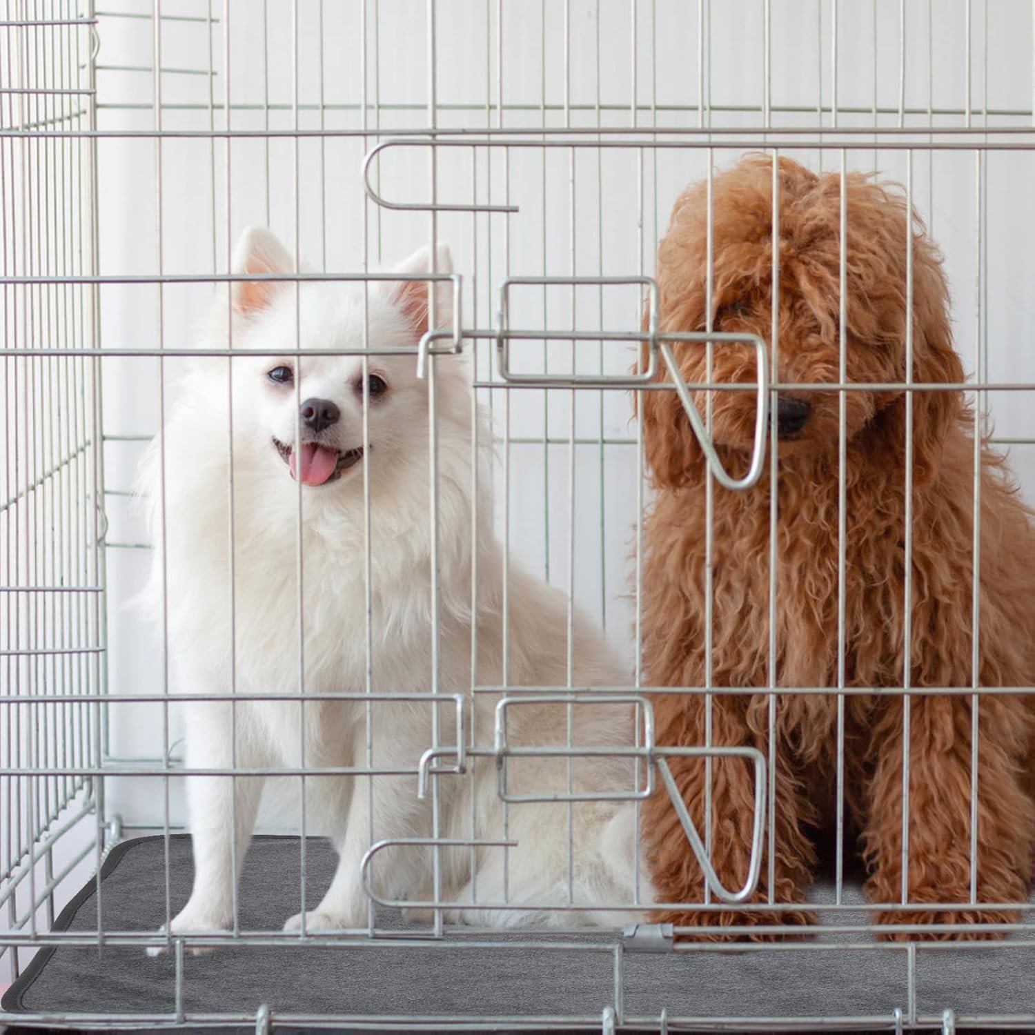 7166HhiAVJL._AC_SL1500_.jpg 7166HhiAVJL._AC_SL1500_.jpg