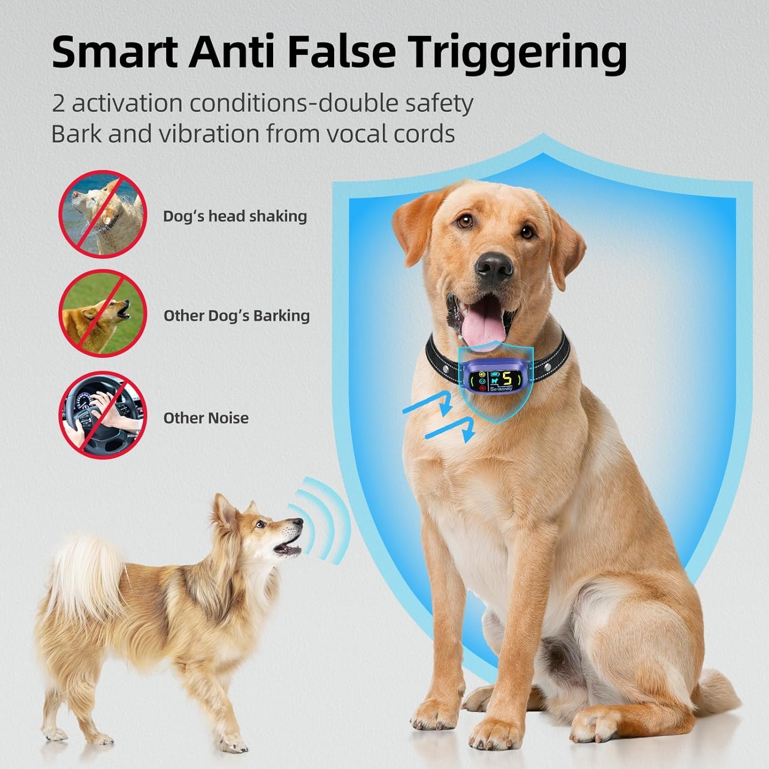 719YHglcsdL._AC_SL1500_.jpg 719YHglcsdL._AC_SL1500_.jpg