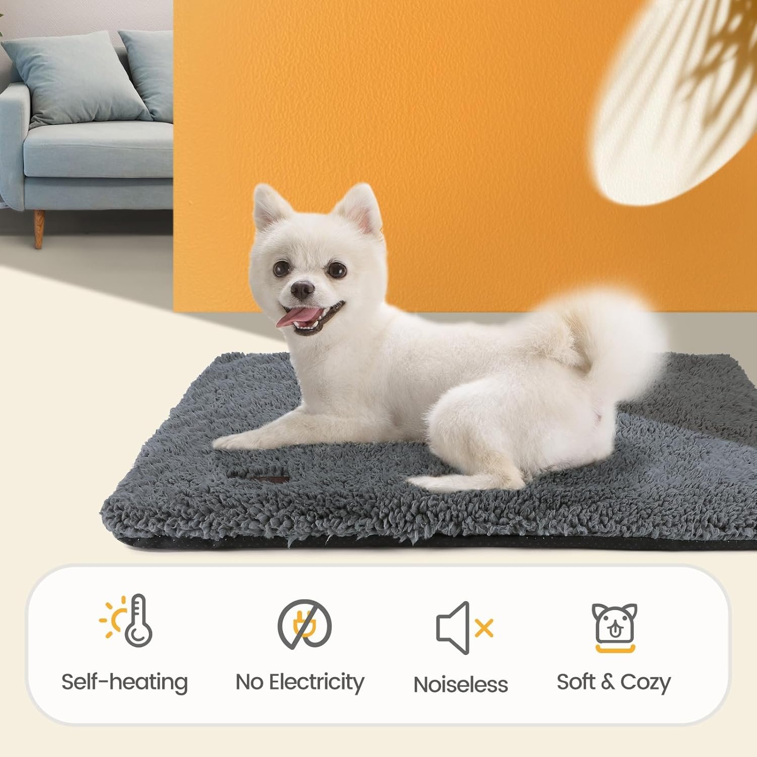 71Cdp9teAzL._AC_SL1500_.jpg 71Cdp9teAzL._AC_SL1500_.jpg