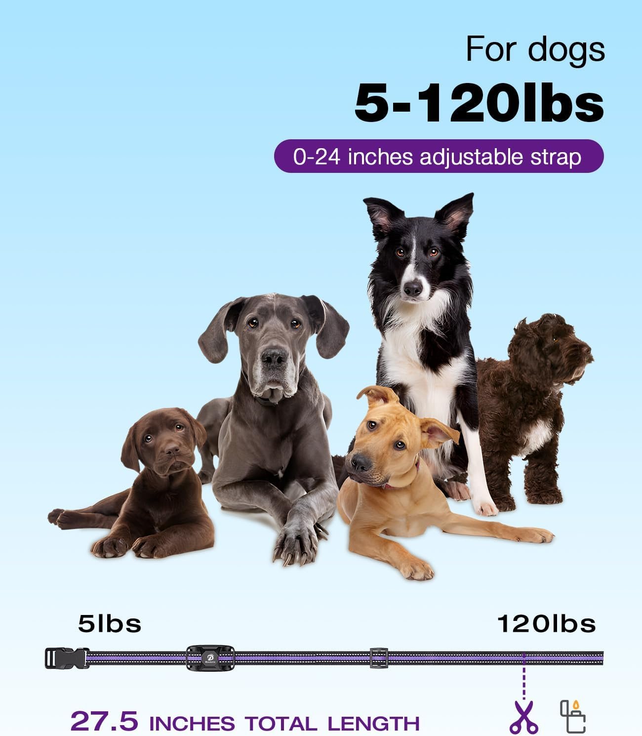 71PKeAXov3L._AC_SL1500_.jpg 71PKeAXov3L._AC_SL1500_.jpg