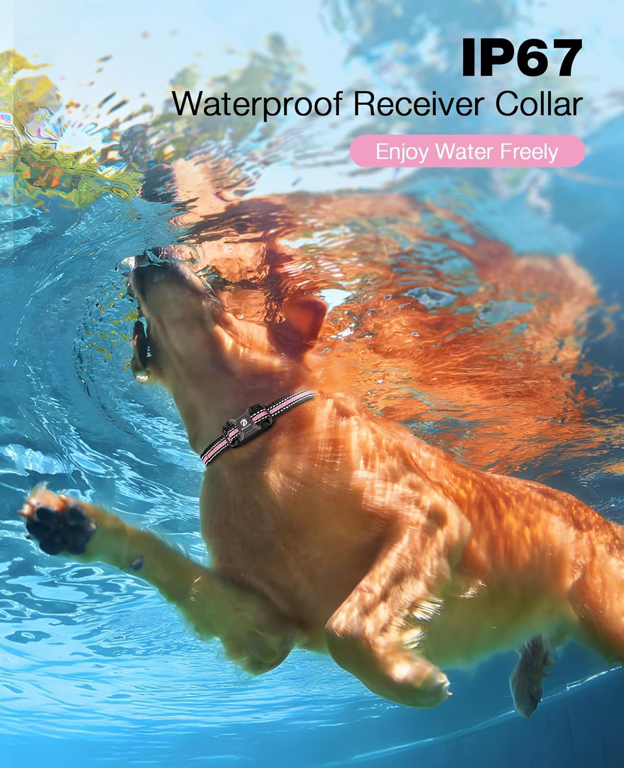 71Srjsm7l2L._AC_SL1500_.jpg 71Srjsm7l2L._AC_SL1500_.jpg