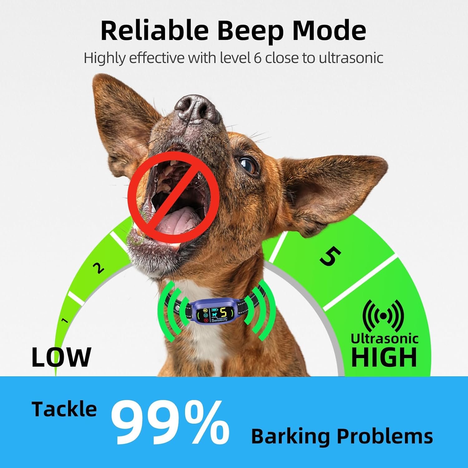 71XwPyKu7tL._AC_SL1500_.jpg 71XwPyKu7tL._AC_SL1500_.jpg