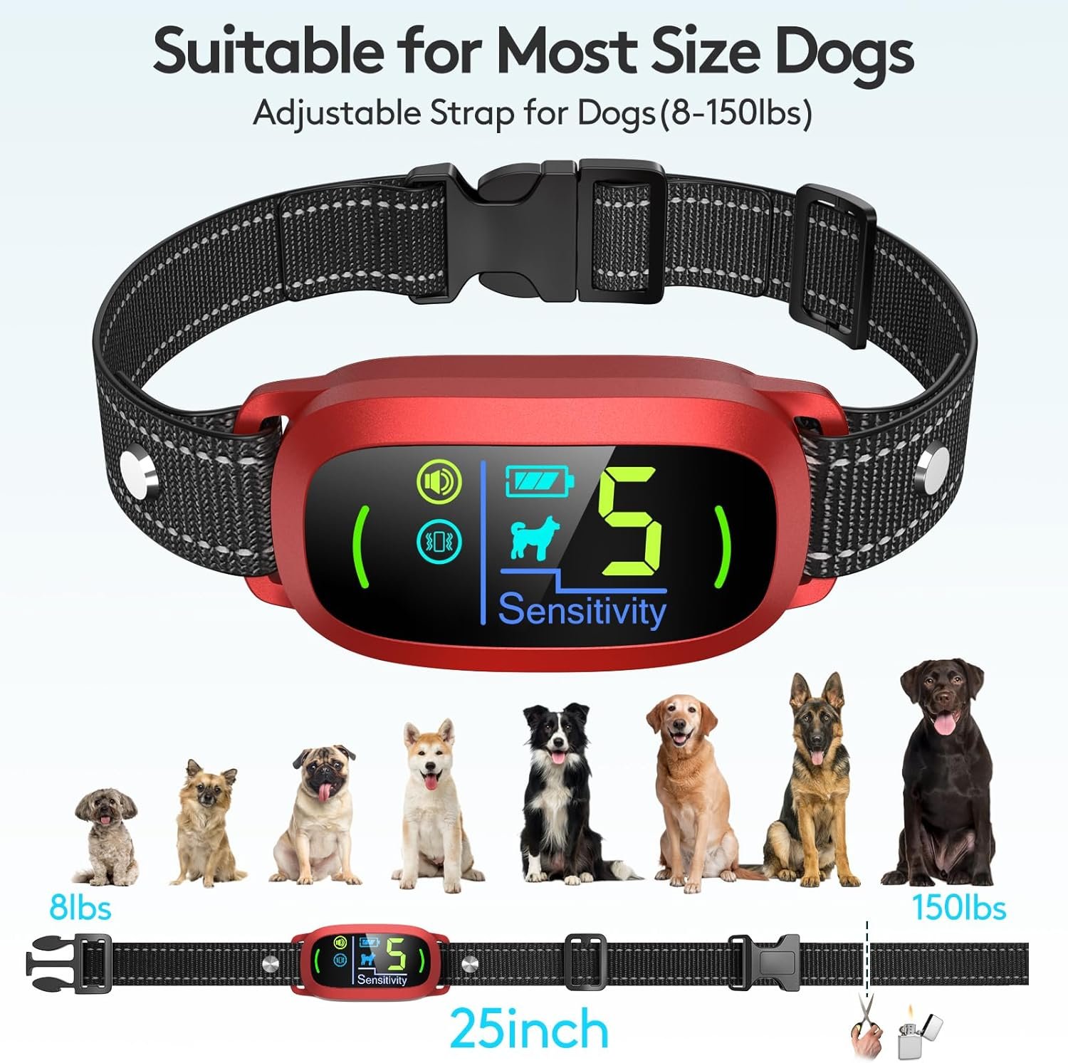 71h9RusWa4L._AC_SL1500_.jpg 71h9RusWa4L._AC_SL1500_.jpg