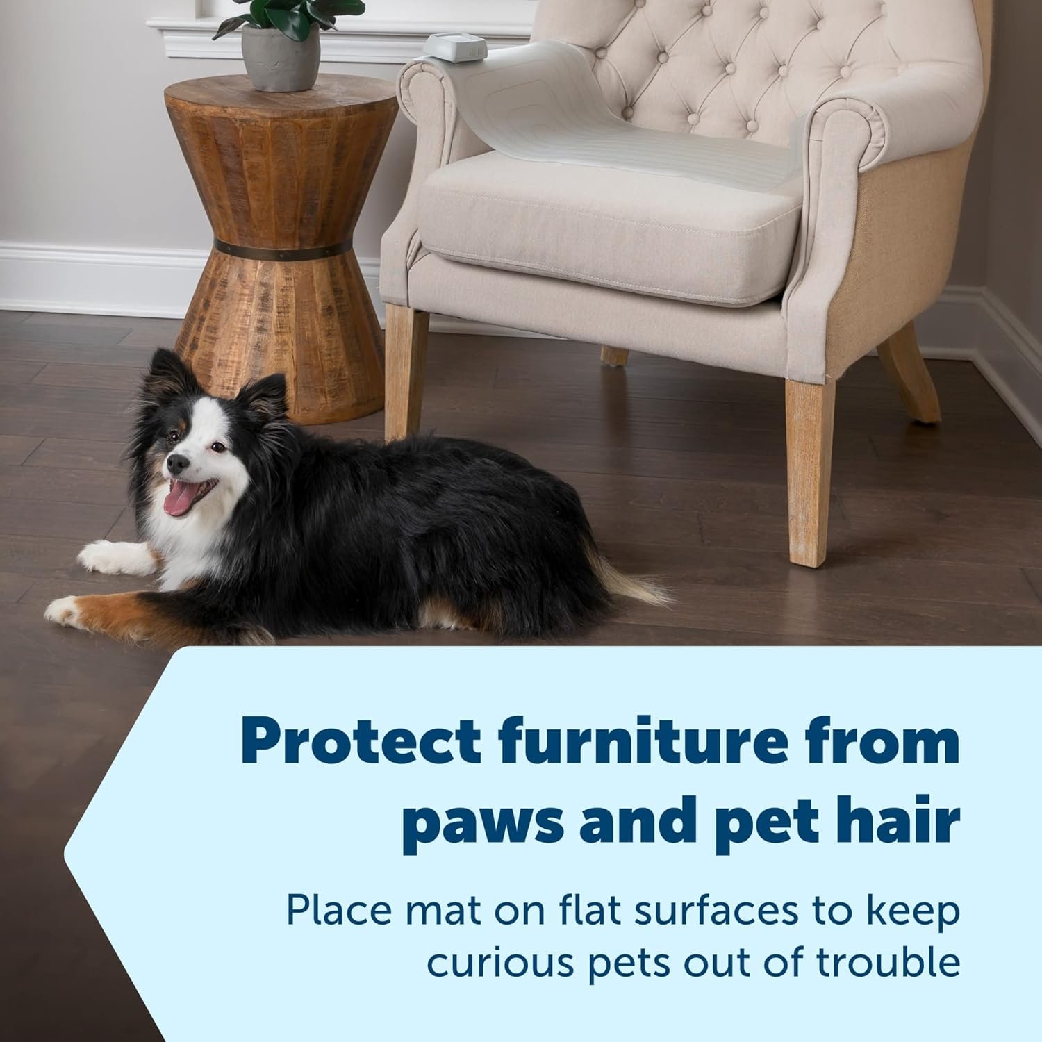 71i1HbWZuWL._AC_SL1500_.jpg 71i1HbWZuWL._AC_SL1500_.jpg