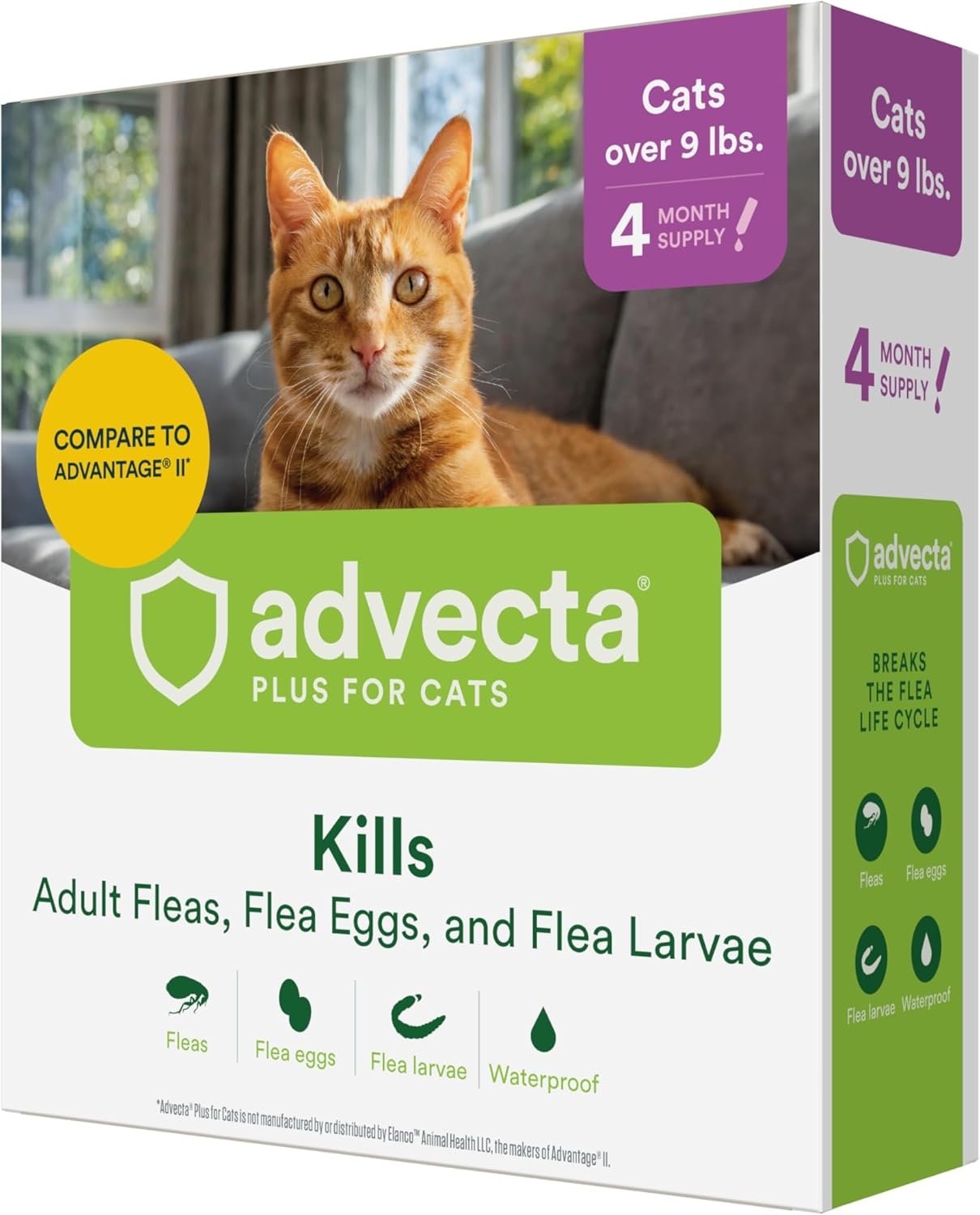 71i2Le5qXwL._AC_SL1500_.jpg 71i2Le5qXwL._AC_SL1500_.jpg