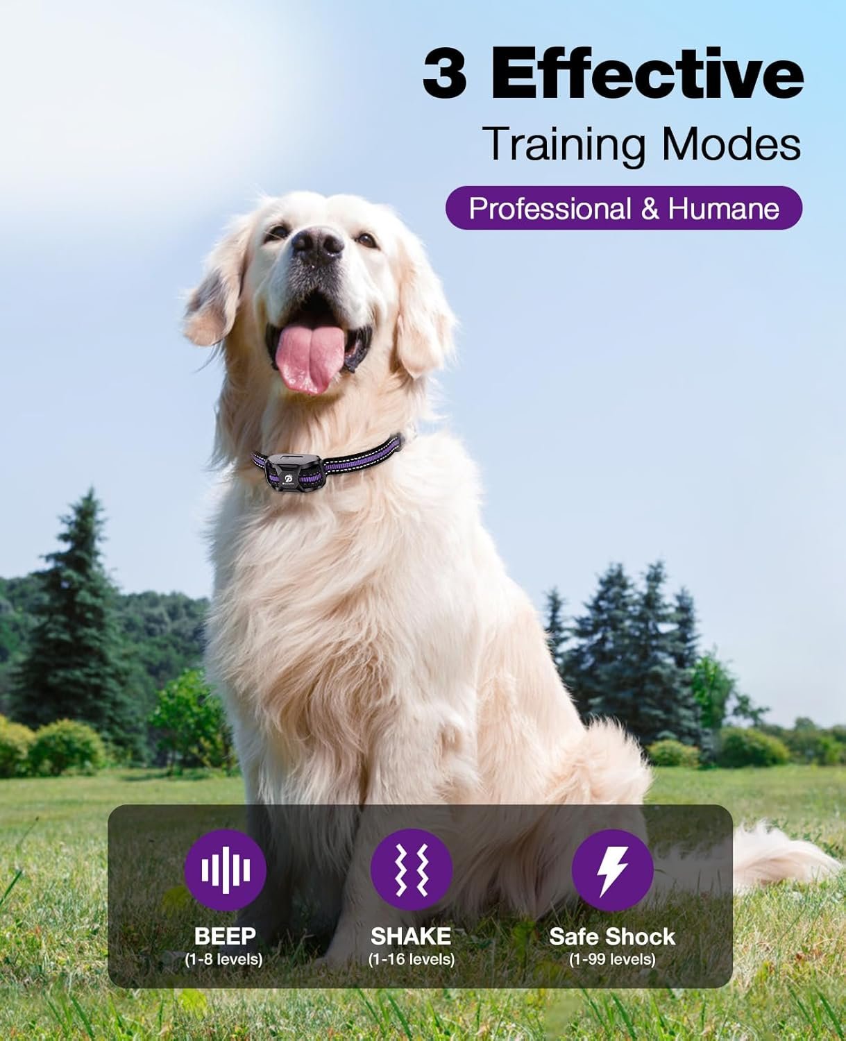 71iUrf5vmSL._AC_SL1500_.jpg 71iUrf5vmSL._AC_SL1500_.jpg