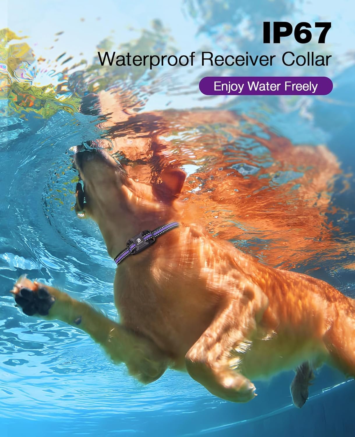 71io-oULk1L._AC_SL1500_.jpg 71io-oULk1L._AC_SL1500_.jpg