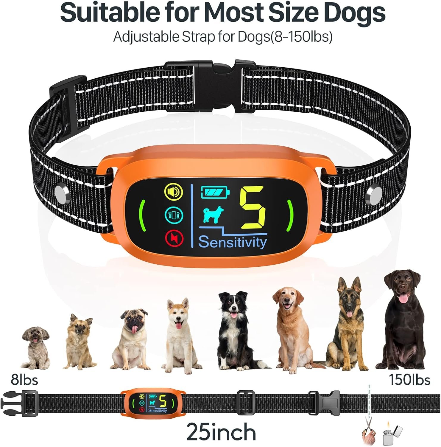 71jCEqqADyL._AC_SL1500_.jpg 71jCEqqADyL._AC_SL1500_.jpg