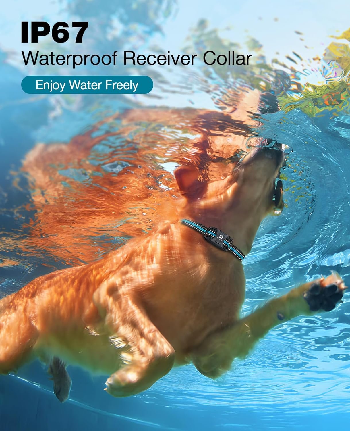 71mb6PEPgTL._AC_SL1500_.jpg 71mb6PEPgTL._AC_SL1500_.jpg