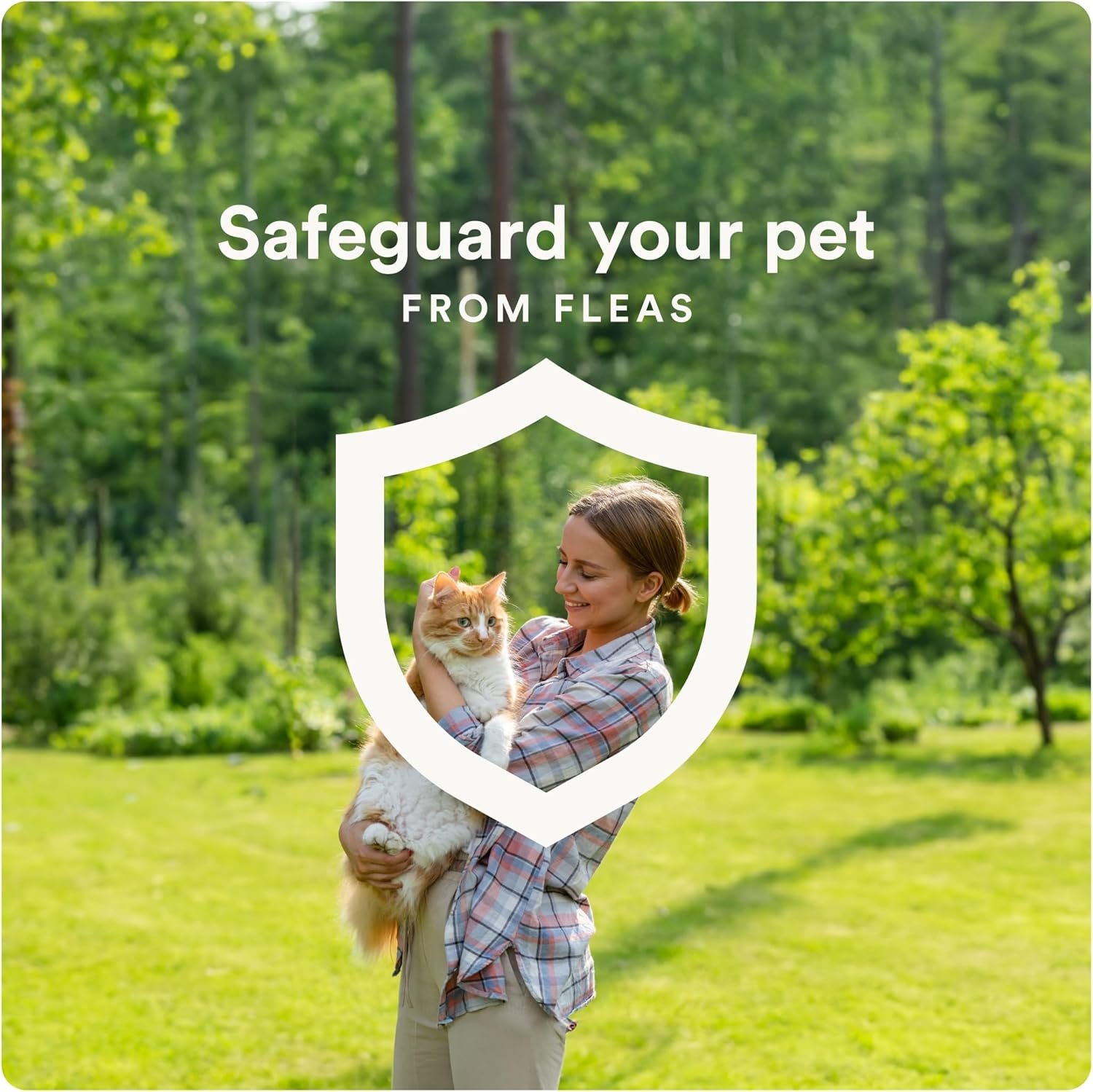 812Wxi6KuNL._AC_SL1500_.jpg 812Wxi6KuNL._AC_SL1500_.jpg