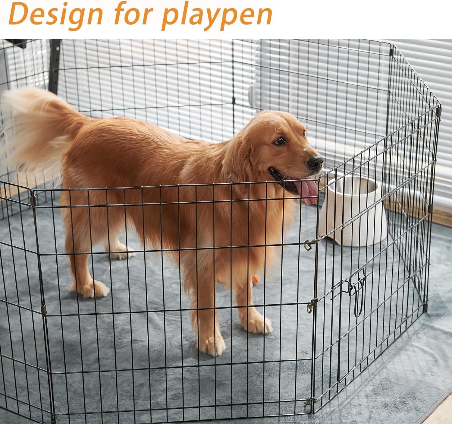 816uLvPJ6iL._AC_SL1500_.jpg 816uLvPJ6iL._AC_SL1500_.jpg