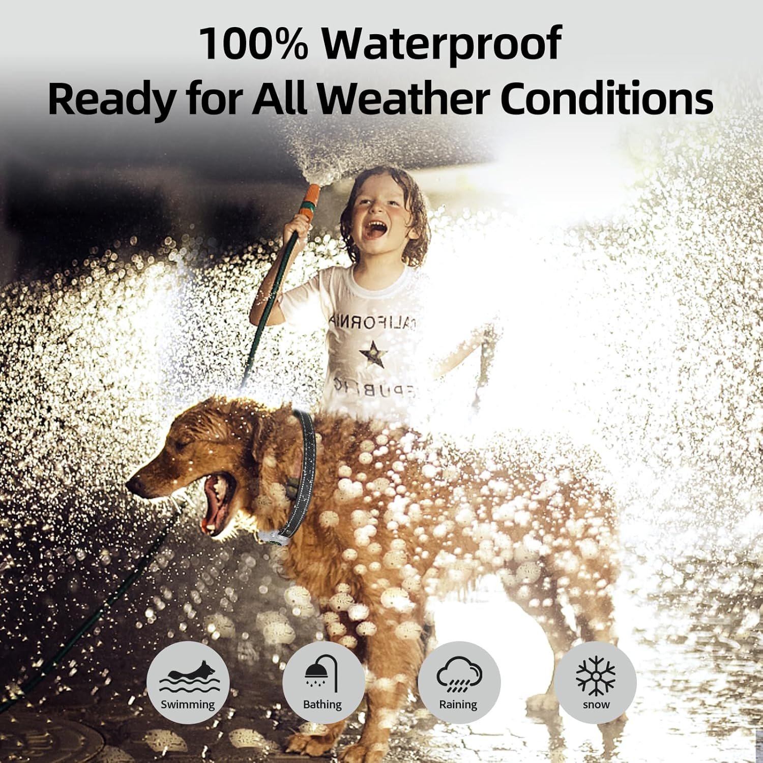 81IDLQW5zZL._AC_SL1500_.jpg 81IDLQW5zZL._AC_SL1500_.jpg