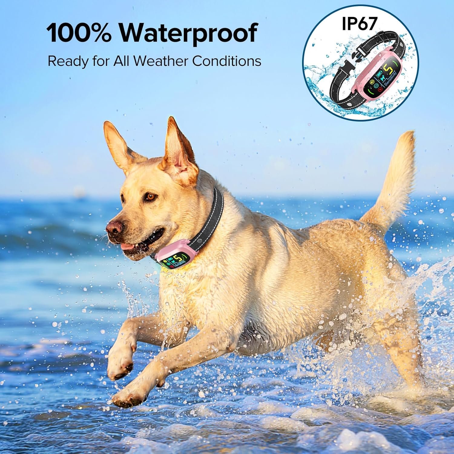 81Xxpl-LVAL._AC_SL1500_.jpg 81Xxpl-LVAL._AC_SL1500_.jpg