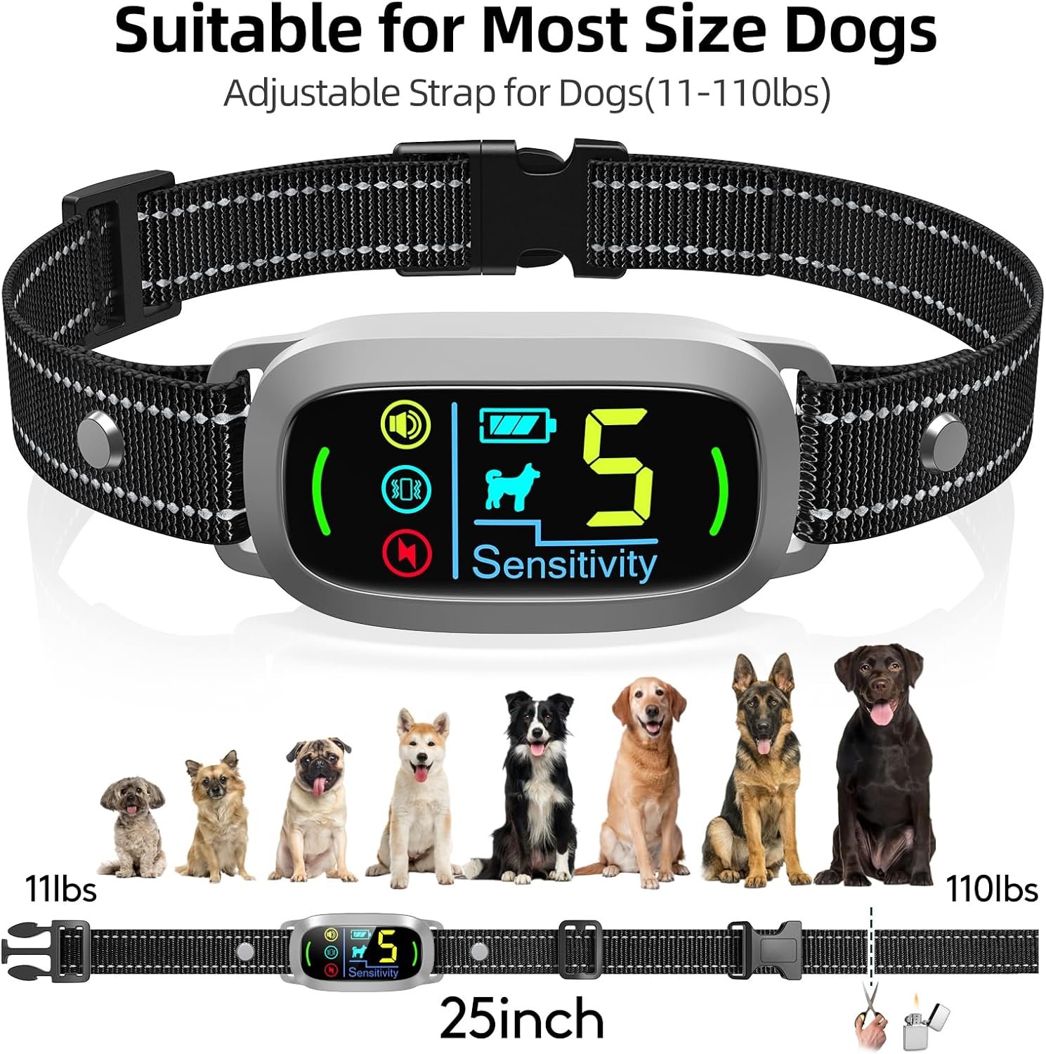 81a7cdx9M6L._AC_SL1500_.jpg 81a7cdx9M6L._AC_SL1500_.jpg