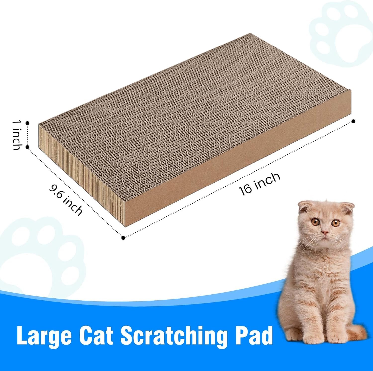 81iuPZFnTL._AC_SL1500_.jpg 81iuPZFnTL._AC_SL1500_.jpg