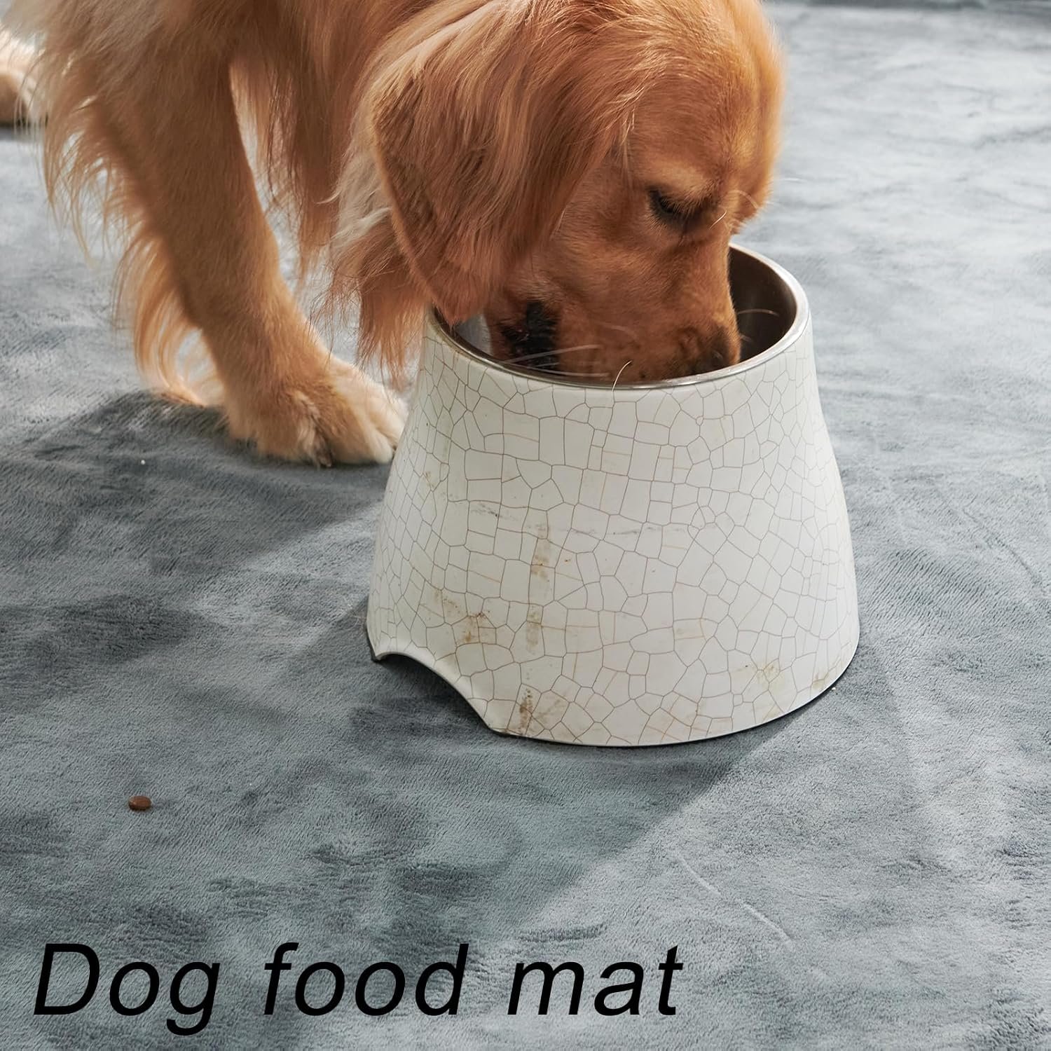 81myVmYTb0L._AC_SL1500_.jpg 81myVmYTb0L._AC_SL1500_.jpg