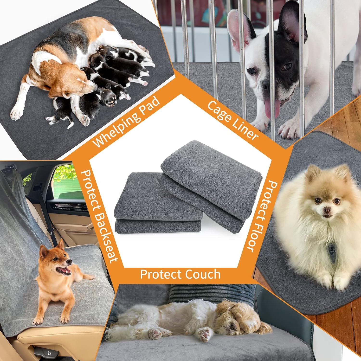 81phwqZqarL._AC_SL1500_.jpg 81phwqZqarL._AC_SL1500_.jpg