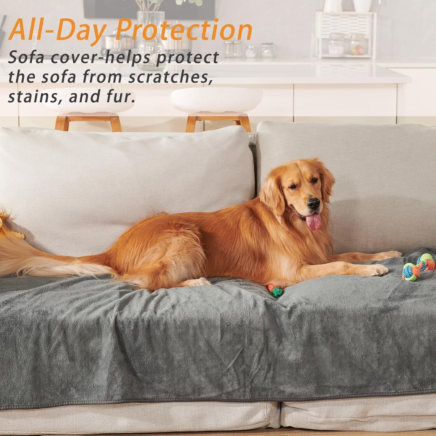 81pwSjfnfzL._AC_SL1500_.jpg 81pwSjfnfzL._AC_SL1500_.jpg