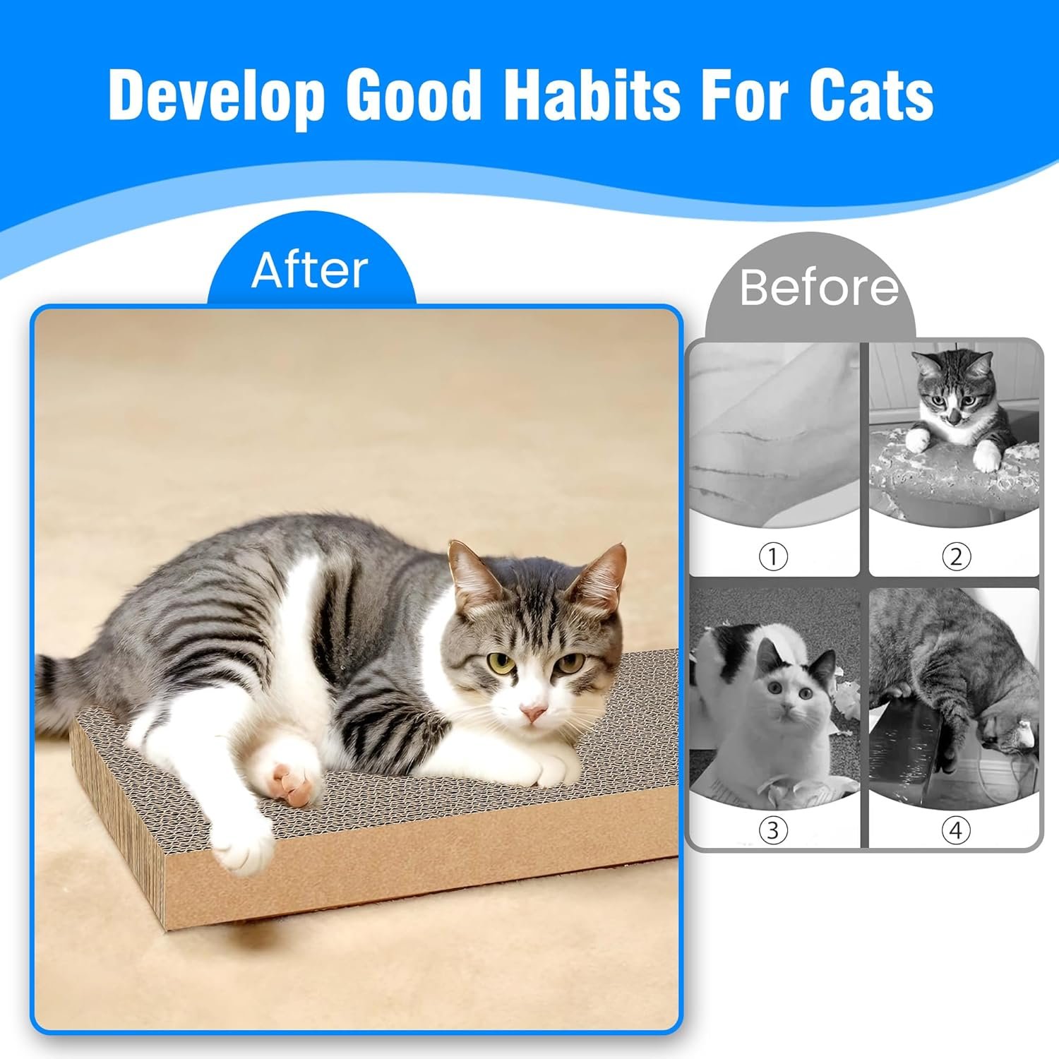 81tONQ-ytML._AC_SL1500_.jpg 81tONQ-ytML._AC_SL1500_.jpg